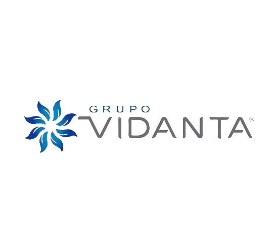 grupo-vidalta-logo.webp